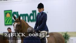 24BUCK_00825 thumbnail