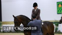24BUCK_00828 thumbnail