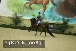 24BUCK_00831 thumbnail
