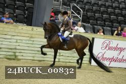 24BUCK_00832 thumbnail
