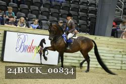 24BUCK_00834 thumbnail