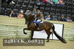 24BUCK_00835 thumbnail
