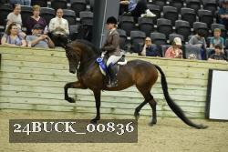 24BUCK_00836 thumbnail