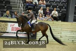 24BUCK_00838 thumbnail