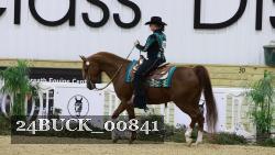 24BUCK_00841 thumbnail