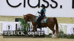 24BUCK_00842 thumbnail
