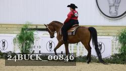 24BUCK_00846 thumbnail