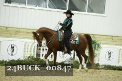 24BUCK_00847 thumbnail