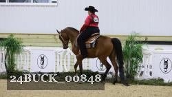 24BUCK_00848 thumbnail
