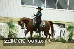 24BUCK_00849 thumbnail