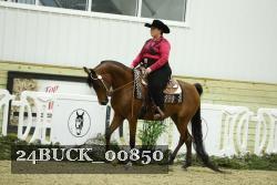 24BUCK_00850 thumbnail