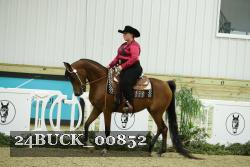 24BUCK_00852 thumbnail