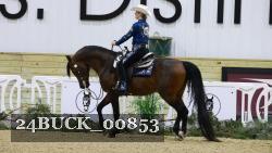 24BUCK_00853 thumbnail