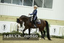 24BUCK_00860 thumbnail