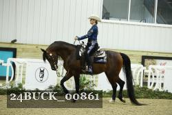 24BUCK_00861 thumbnail
