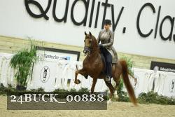 24BUCK_00888 thumbnail