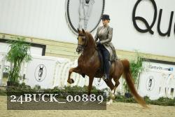 24BUCK_00889 thumbnail