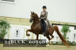 24BUCK_00890 thumbnail