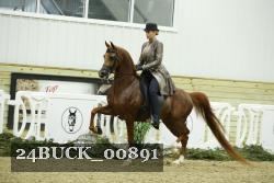 24BUCK_00891 thumbnail