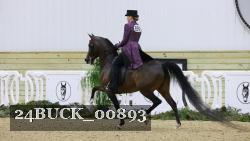 24BUCK_00893 thumbnail