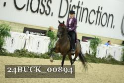 24BUCK_00894 thumbnail