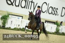 24BUCK_00895 thumbnail