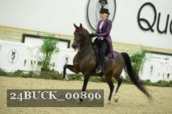 24BUCK_00896 thumbnail