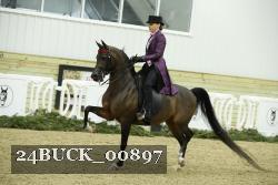 24BUCK_00897 thumbnail