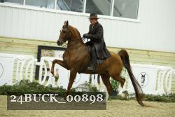24BUCK_00898 thumbnail