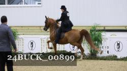 24BUCK_00899 thumbnail