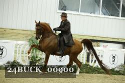 24BUCK_00900 thumbnail