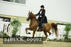 24BUCK_00902 thumbnail