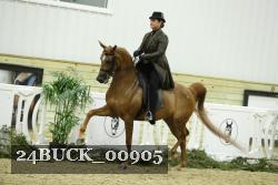 24BUCK_00905 thumbnail