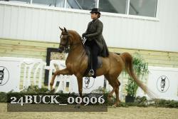 24BUCK_00906 thumbnail