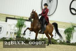 24BUCK_00907 thumbnail