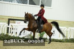 24BUCK_00908 thumbnail
