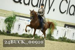 24BUCK_00910 thumbnail