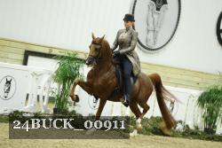 24BUCK_00911 thumbnail