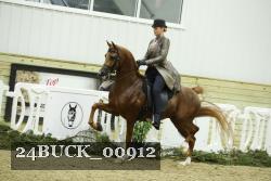 24BUCK_00912 thumbnail