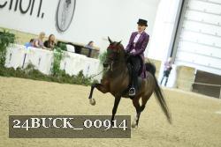 24BUCK_00914 thumbnail