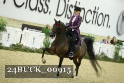 24BUCK_00915 thumbnail