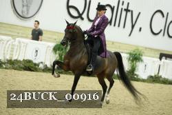 24BUCK_00916 thumbnail