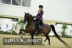 24BUCK_00917 thumbnail