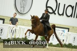 24BUCK_00920 thumbnail