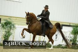 24BUCK_00921 thumbnail