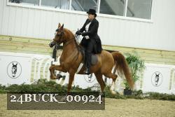 24BUCK_00924 thumbnail