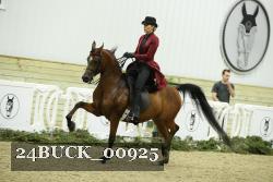 24BUCK_00925 thumbnail