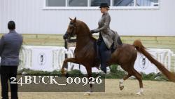 24BUCK_00926 thumbnail