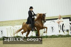 24BUCK_00927 thumbnail