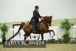 24BUCK_00928 thumbnail